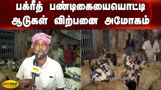 பக்ரீத் பண்டிகையையொட்டி ஆடுகள் விற்பனை அமோகம் | Goat Sale | Bakrid | Chennai