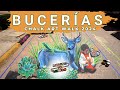 4K Walking Tour: The Bucerías Chalk Art Walk 2024