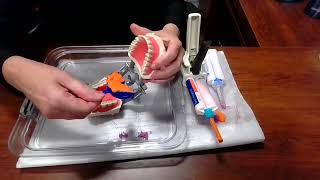 Anterior Triple Tray Impression LAB