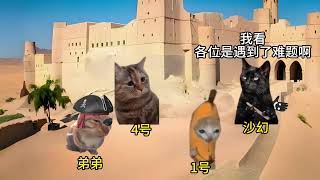 未必船长的冒险故事二 #猫meme #猫meme日常 #猫meme小剧场 #猫meme故事