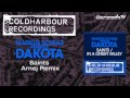 markus schulz presents dakota saints arnej remix