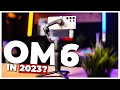 DJI Osmo Mobile 6 after 6 Months - Watch Before you Buy!