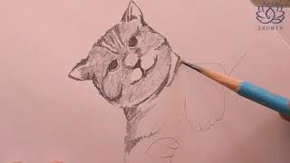 #cute little cat sketch