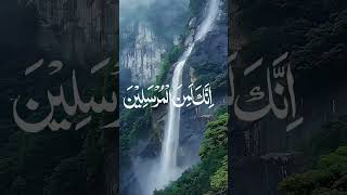 Surah Yasin with Urdu Translation Full | Beautiful Quran Recitation| Quran with Urdu