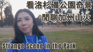 睇洛杉磯公園奇景｜閒聊加州山火 Strange Scene in the park \u0026 Talk about LA Fires｜香港人 移民 美國加州  #losangeles #california