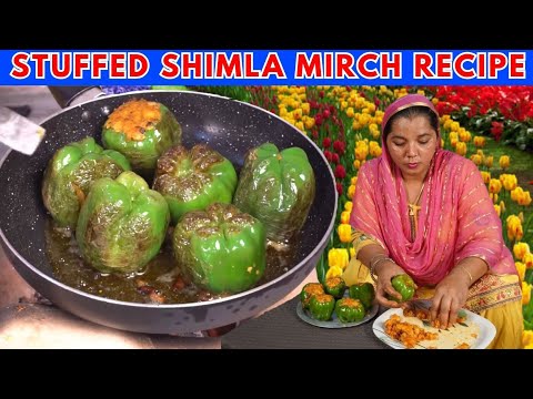 Bharwa Shimla Mirch 💕 Capsicum Recipe 💕 Lunch Box Recipes 💕 Village Food 💕 Punjabi Food Bharwa Shimla Mirch 💕 Capsicum Recipe 💕 Lunch Box Recipes 💕 Village Food 💕 Punjabi Food