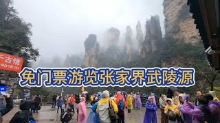 免门票游览张家界5A景区武陵源，山上雾太大看了个寂寞