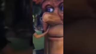 Man sticks his head into a tree