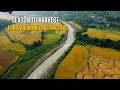 Season to Harvest || Longmai Noney District Hq. || Aerial Footage