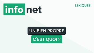 Un bien propre, c'est quoi ? (définition, aide, lexique, tuto, explication)