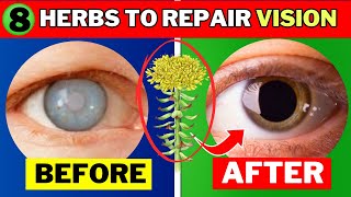8 Herbs to Protect Eyes and Repair Vision (Protect Your Eyesight)