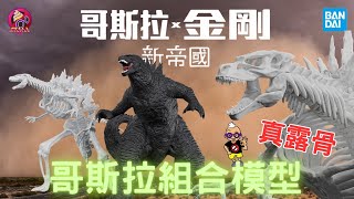 【開箱片】BANDAI【哥斯拉 x 金剛：新帝國 哥斯拉 2024】Godzilla x Kong: The New Empire model kit UNBOX \u0026 REVIEW