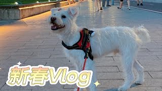 墩墩vlog｜和网络干妈们汇报一下小猪的幸福生活！新年快乐～