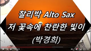 저 꽃속에 찬란한 빛이(박경희) - 찰리박 Alto Sax 21 06 28