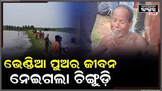 ଚିଙ୍ଗୁଡ଼ି ପୋଖରୀକୁ ସଂଯୋଗ ହୋଇଥିଲା ବିଦ୍ୟୁତ, ଜାଣିପାରିଲେନି ବିକାଶ ଆଉ ଚାଲିଗଲା ତାଙ୍କ...