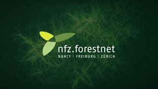 NFZ.forestnet: Highlights of the past 10 years