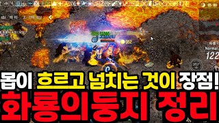 [리니지m] 화룡의 둥지는 아데나와 각상때문에 돌리고 있습니다!!(드랍템,폭젠존,기타등등 간단하게 정리 / 2024년 2월 최신화)