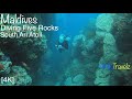 Maldives Diving Five Rocks