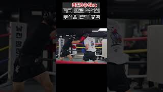 긴 리치에서 나오는 미국 프로 복서의 무서운 연타 공격! #복싱 #boxing #shorts #복싱스파링 #스파링 #챔피언 #유산소운동 #맨몸운동 #감량 #복싱다이어트