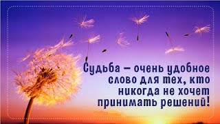 Будьте осторожны с терпеливыми людьми. Ценные советы