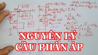 Water temperature sensor and potentiometer bridge principles