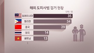 석달간 해외도피 133명 검거…인터폴 합동단속 / 연합뉴스TV (YonhapnewsTV)