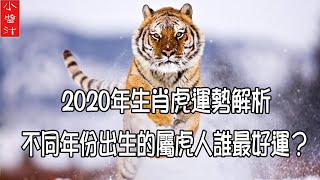 【生肖虎運勢】2020年生肖虎運勢詳解。不同年份出生的屬虎人誰最好運？
