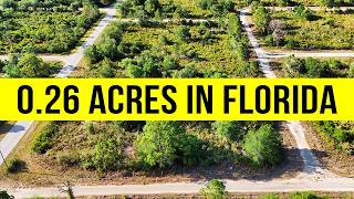 Land For Sale: 0.26 Acres in Highlands County, FL (Owner Financing Available)