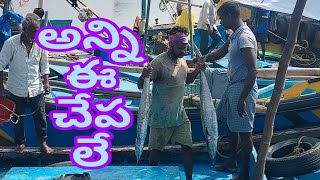 ఈ బోటులో అన్ని ఆ చేపలే #kingfish #live fishing-nrj voice telugu YouTube channel