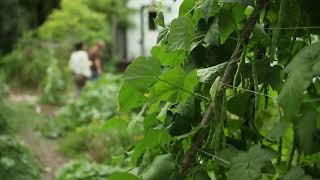 Designing your garden and your life with permaculture (English subtitles)