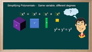 WCLN -Polynomial - Like Terms