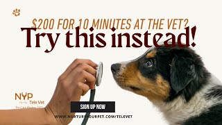 24/7 Online Vet Consultation for Your Pet — Get Instant Help with NYP TeleVet