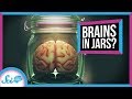 How Close Are We to Growing Brains in a Dish?