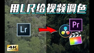 如何用Lightroom生成LUT(预设）快速后期调色【PR FCPX 达芬奇通用】