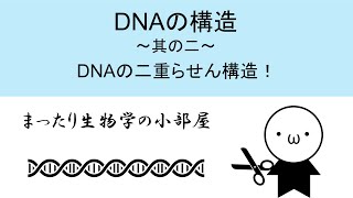 【まったり生物学】DNAの構造 ～二重らせん構造～