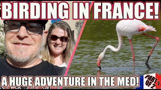 BIRDING IN THE SOUTH OF FRANCE!  THE CAMARGUE