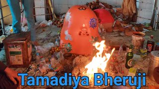 तमाड़िया भेरू जी का मेला || Tamadiya Bheruji chaksu Jaipur ||