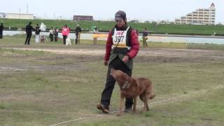 2012　春季訓練競技大会　リズ