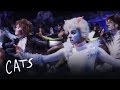 Cats the Musical 2016