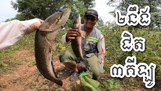 New Season For The Common Snakehead Fish | តោះបងប្អូនវាត់ផ្ទក់និងរ៉ស់​| ដើមដៃចឹងត្រីខាំល្អៗណាស់