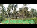 tirupattur district on road property bangalore to chennai highway