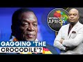 Zimbabwe's President Emmerson Mnangagwa Faces Calls To Resign | World Of Africa