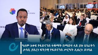 ዓለም አቀፍ የፋይናንስ ተቋማት በማደግ ላይ ያሉ ሀገራትን ታሳቢ ያደረገ ፍትኃዊ የፋይናንስ ሥርዓት ሊዘረጉ ይገባል