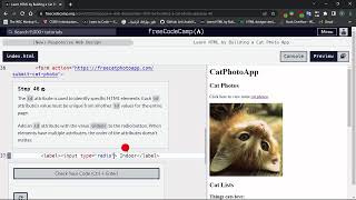 Learn HTML By building a cat photo app : Step - 46