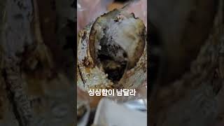 가을전어는 이렇게 먹어야 해