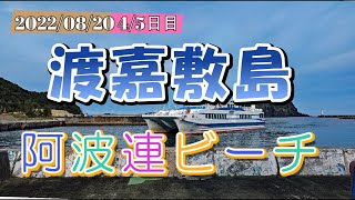 沖縄【渡嘉敷島】シュノーケリング 2022/08/20 4日目 阿波連ビーチ シーフレンド側