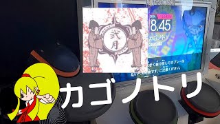 【ドラムマニア_GWは毎日7時/19時更新】カゴノトリ