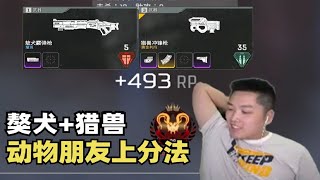 【Apex 皮特174】上分密碼？凡是有動物朋友的槍都很強！