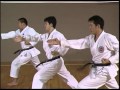 Shotokan Karate Complete Guide by Hirokazu Kanazawa Vol 2