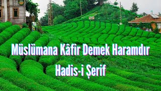 Müslümana Kâfir Demek Haramdır, Hadisi Şerif